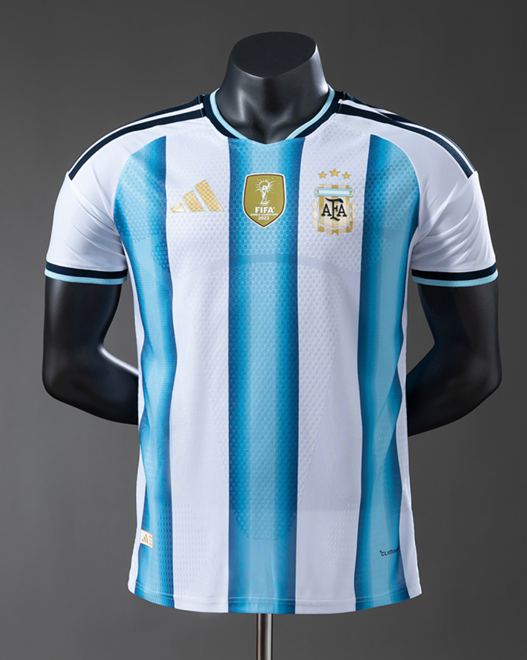 Camiseta Argentina Local WC 2026