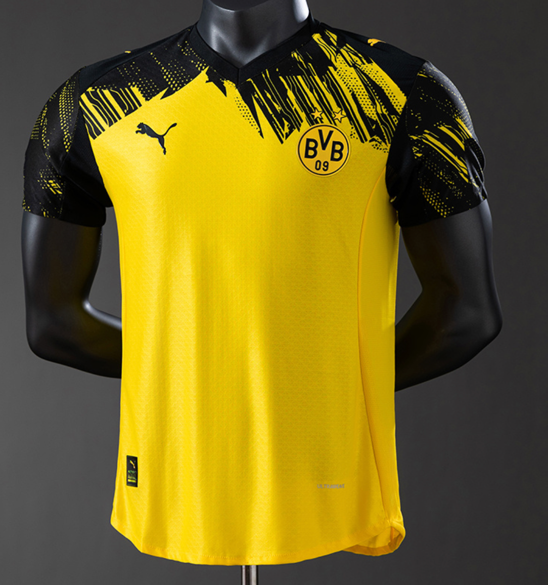 Camiseta Borussia Dortmund Local 25/26